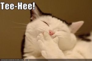 1578c80f0feae231b50cf1d3b641e593